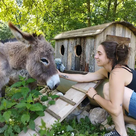 La Maison De Noe